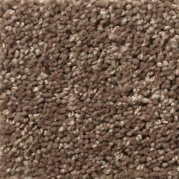 Shaw Floors Cabana Bay S Cattail SHAW