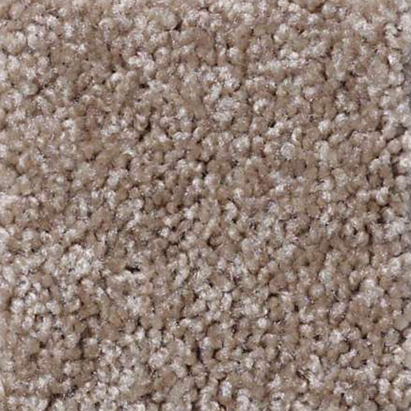 Shaw Floors Make It Yours (S) Fawns Leap SHAW