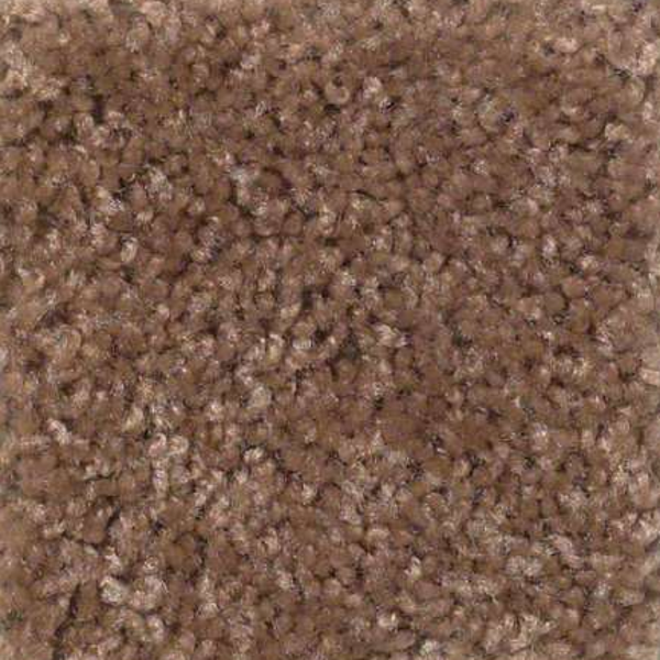 Shaw Floors Big Event Plus Folk Stone SHAW