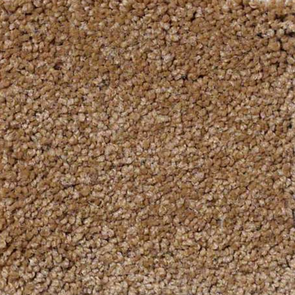 Philadelphia Commercial Everyday Comfort (S) Granola Shaw