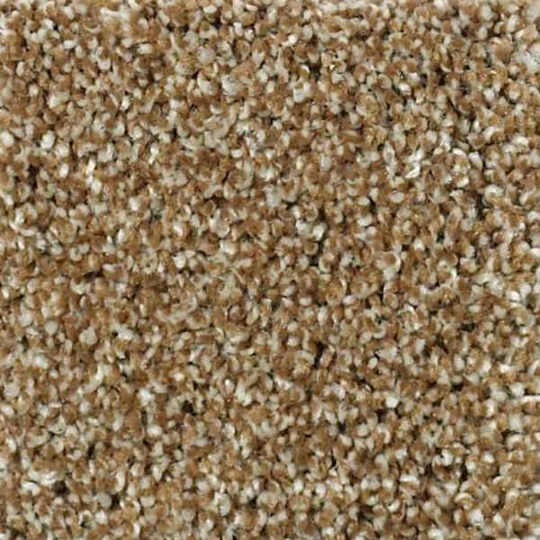 Shaw Floors Picturesque Leather Bond SHAW