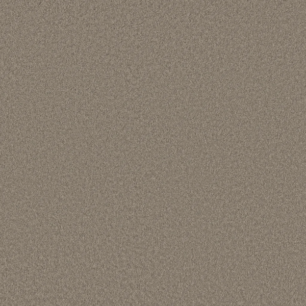 Shaw Floors Velvet Touch II Plaza Taupe SHAW