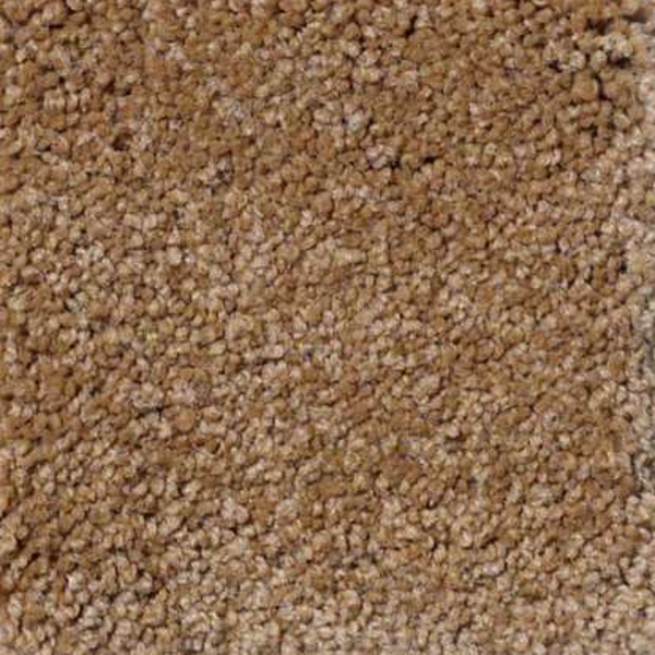 Shaw Floors Magic At Last II 12' Toast SHAW