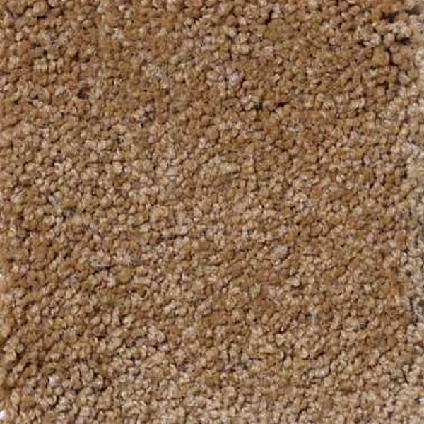 Shaw Floors Magic At Last II 15' Toast SHAW