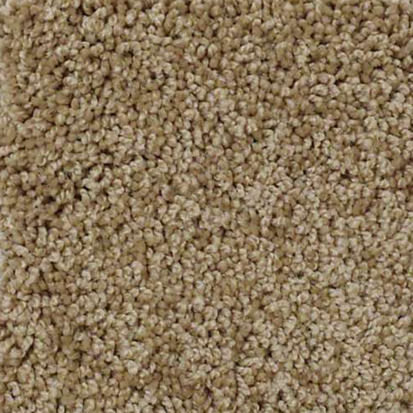 Shaw Floors Enduring Comfort III Twig SHAW