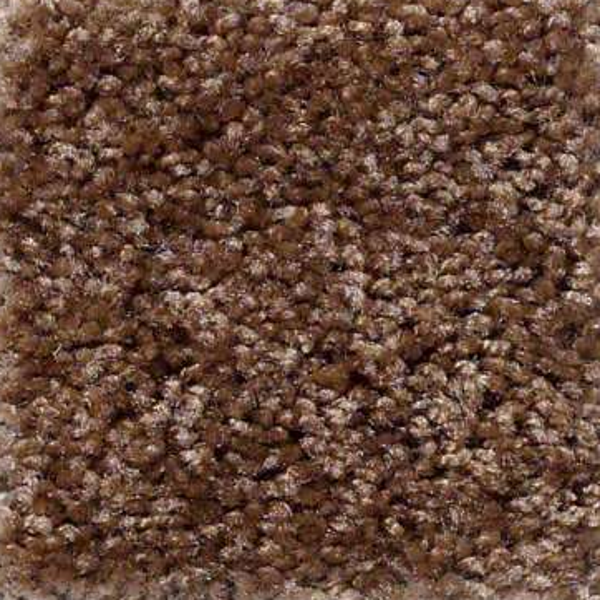 Shaw Floors Big Event Plus Barn Owl SHAW