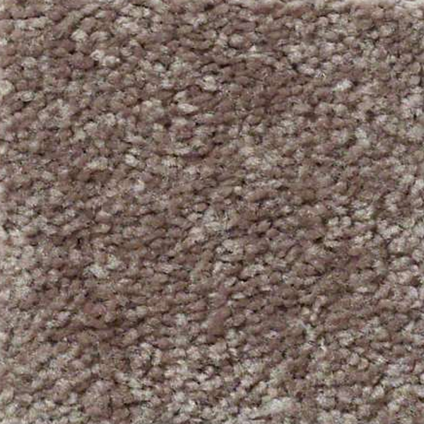 Shaw Floors Well Played I 12 Briar Patch SHAW