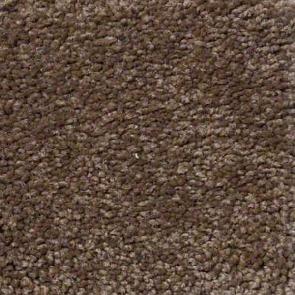 Shaw Floors Sandy Hollow Classic III Pine Cone SHAW