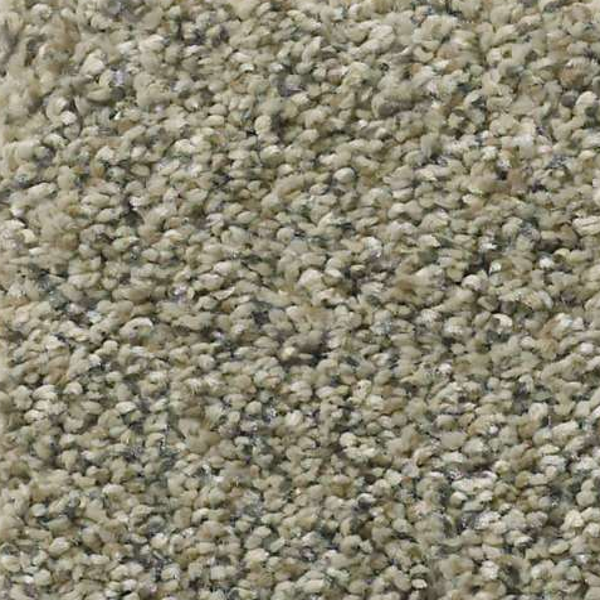 Shaw Floors All Set I Tree House SHAW