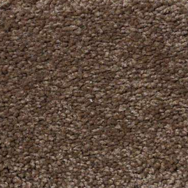 Shaw Floors Magic At Last II 12' Tree Moss SHAW