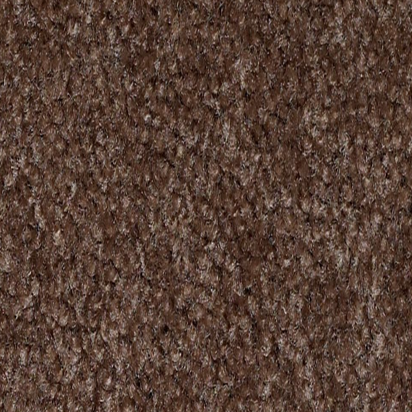 Shaw Floors XV071 Coffee Bean SHAW