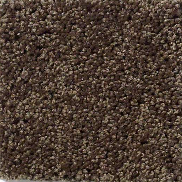 Shaw Floors Enduring Comfort III Coffee Bean SHAW