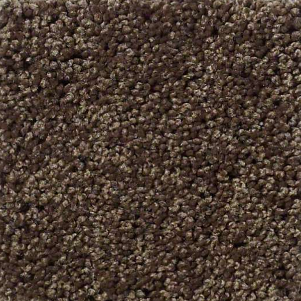 Shaw Floors Enduring Comfort II Coffee Bean SHAW