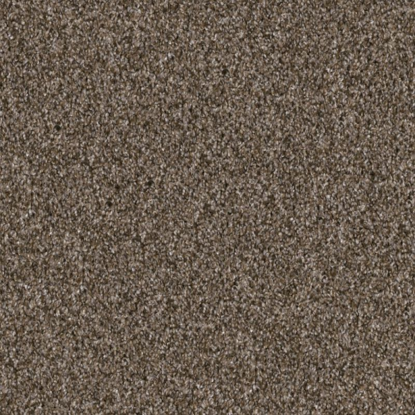 Shaw Floors Yes You Can II 12' Mission Ridge SHAW