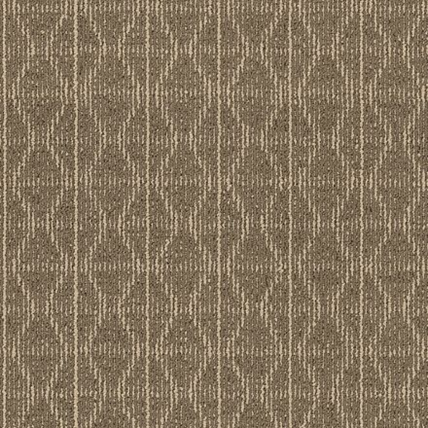 Philadelphia Commercial Be Open Strength Shaw