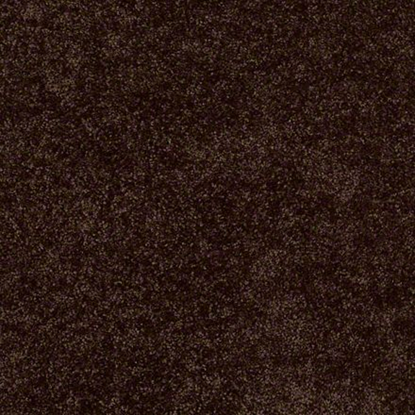 Shaw Floors Briceville Classic 12' Walnut SHAW