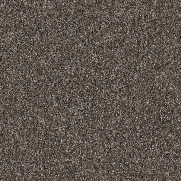 Shaw Floors Yes You Can II 12' Cafe Noir SHAW