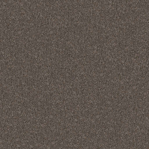 Shaw Floors Yes You Can III 12' Cafe Noir SHAW