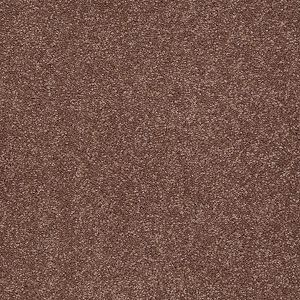 Shaw Floors Magic At Last I 15' Mocha SHAW