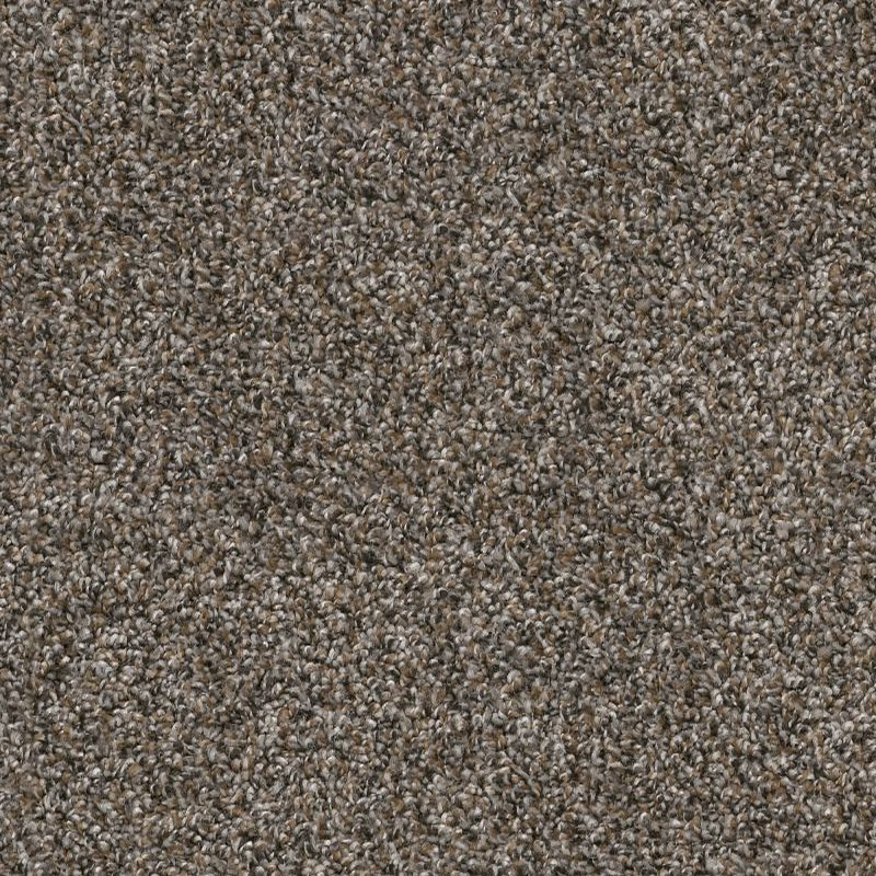 Shaw Floors Shake It Up (A) Tree Bark SHAW