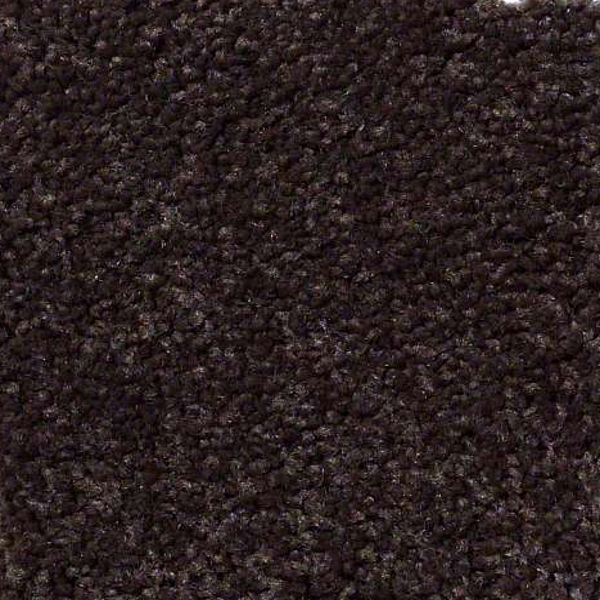 Philadelphia Commercial Everyday Comfort (S) Brown Sugar Shaw