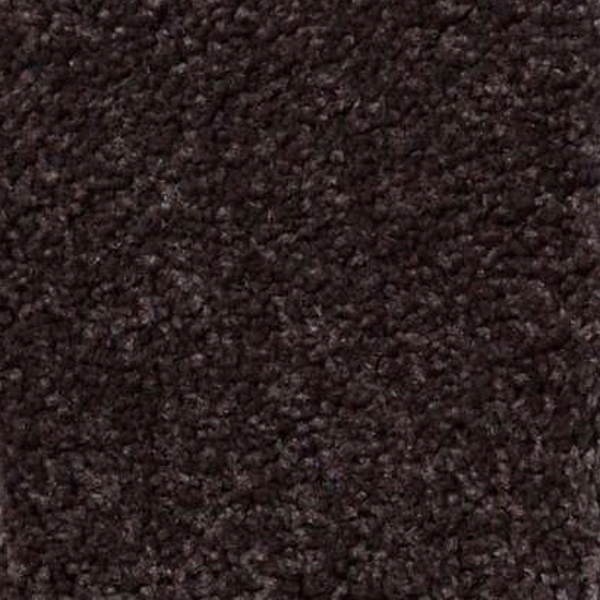 Shaw Floors Magic At Last II 12' Dark Chocolate SHAW