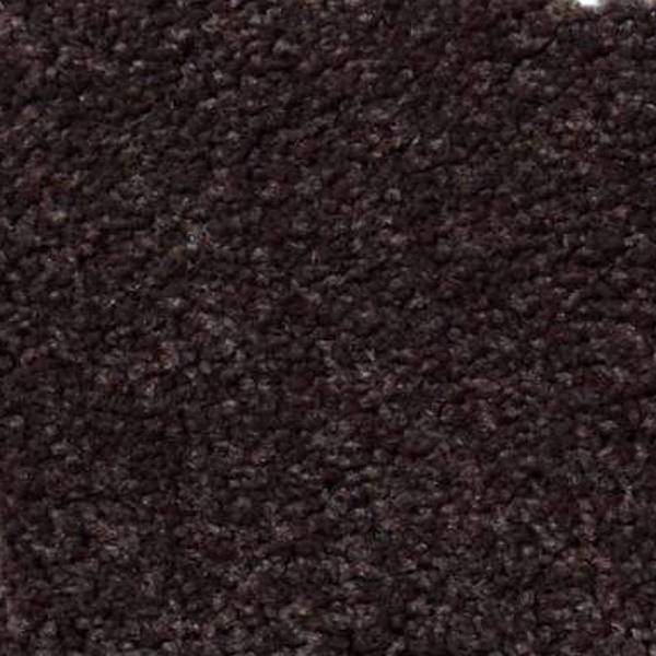 Shaw Floors Magic At Last II 15' Dark Chocolate SHAW