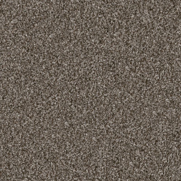 Shaw Floors Yes You Can II 12' Urban Rustic SHAW