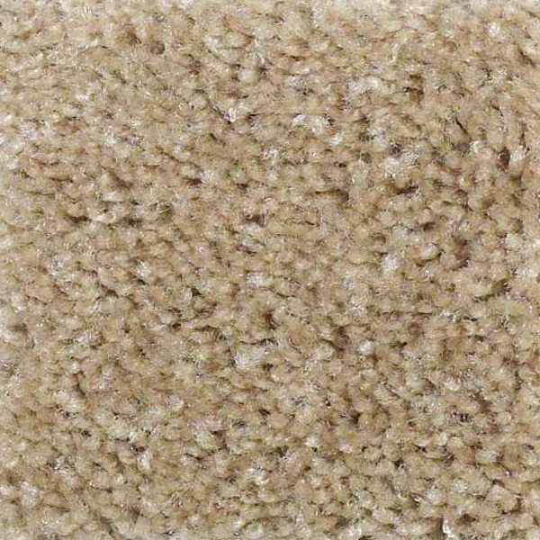 Shaw Floors Keep It Real Hillsborough SHAW