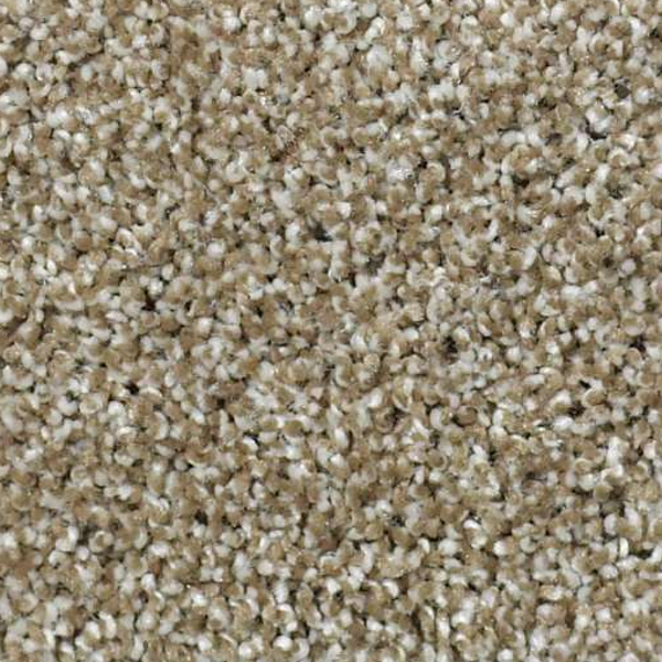 Shaw Floors Picturesque Prairie SHAW