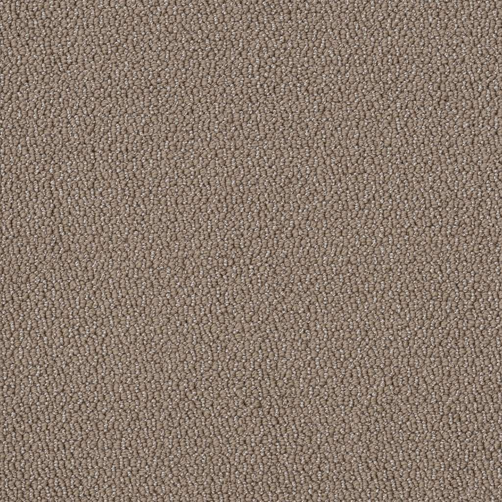 Shaw Floors Embellished Raw Wood SHAW