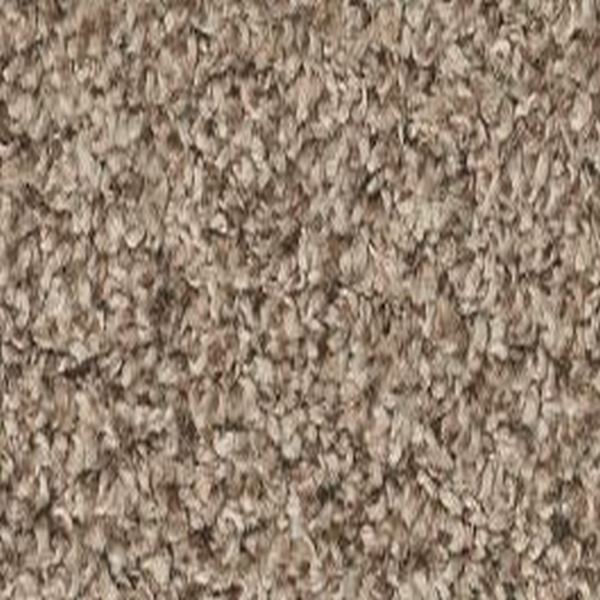 Shaw Floors Shake It Up (T) 13 Rodeo SHAW