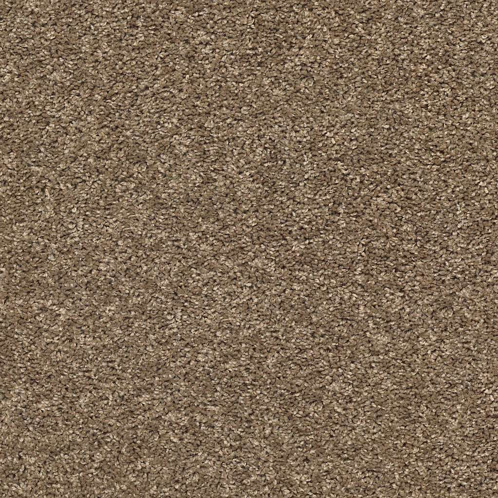 Shaw Floors Shake It Up (S) Beaver Creek SHAW