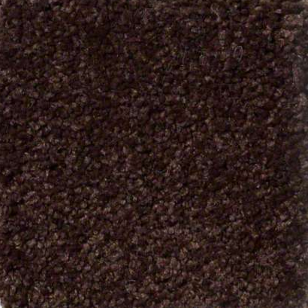 Shaw Floors Sandy Hollow Classic II Coffee Bean SHAW