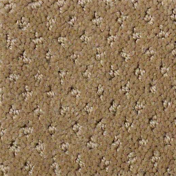 Shaw Floors Genesis Travertine SHAW