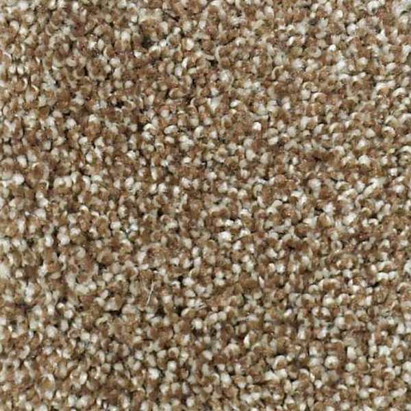 Shaw Floors Picturesque Travertine SHAW