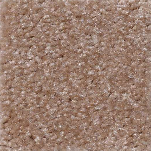 Shaw Floors Zipp Xanthia SHAW