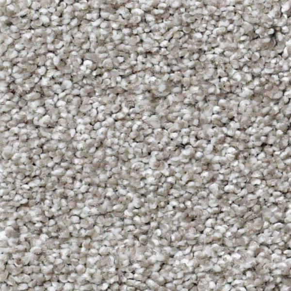 Shaw Floors ANSO Open I (T) Cocoa SHAW