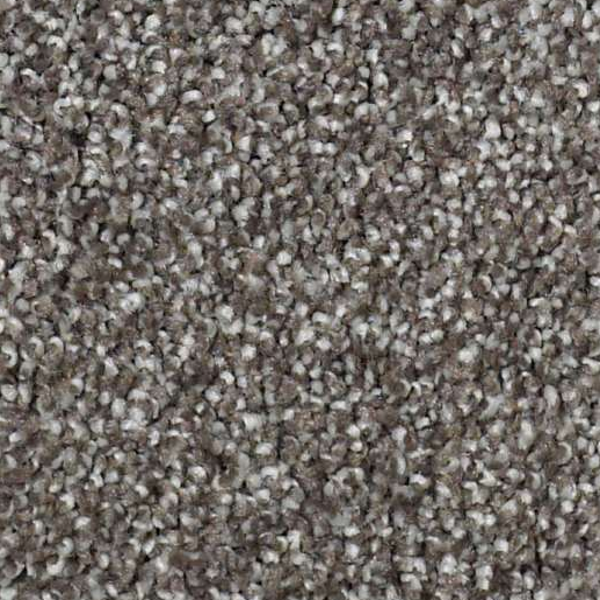 Shaw Floors Picturesque Graphite SHAW