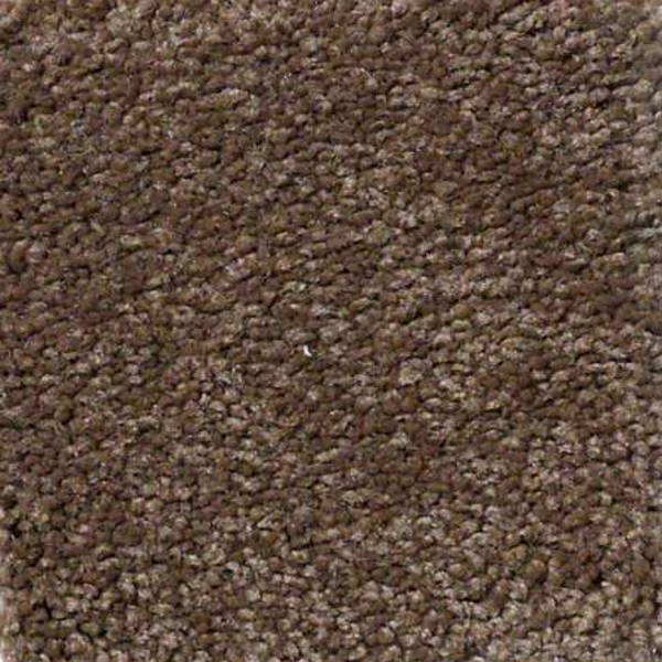 Philadelphia Commercial Everyday Comfort (S) Dark Spice Shaw