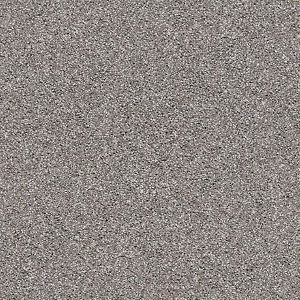 Shaw Floors Suave Tree Trunk SHAW