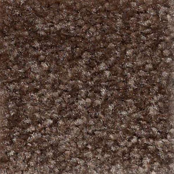 Shaw Floors Zipp Alton SHAW