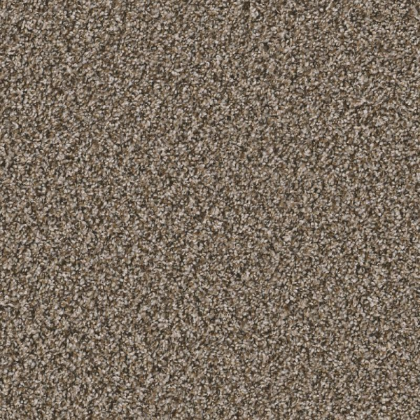 Shaw Floors Remixed Classic Dry Creek SHAW