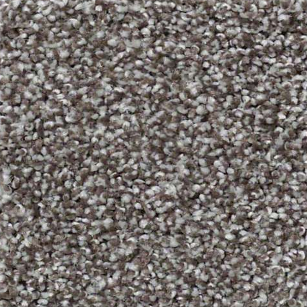 Shaw Floors You Know It Bear Mountain SHAW