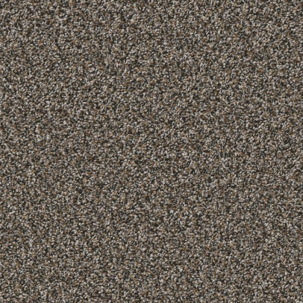 Shaw Floors Remixed Classic Rock Garden SHAW