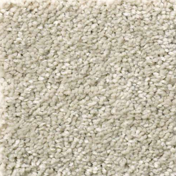 Shaw Floors After All I Bird House SHAW