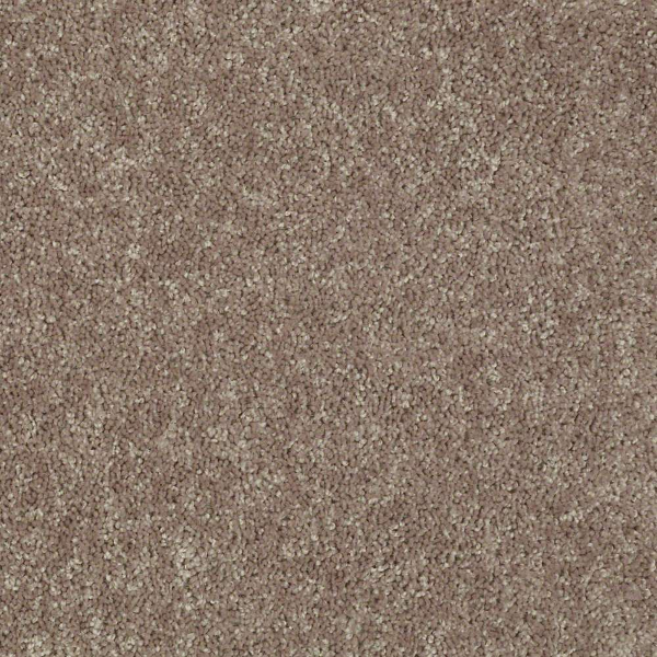 Shaw Floors Briceville Classic 15' River Slate SHAW