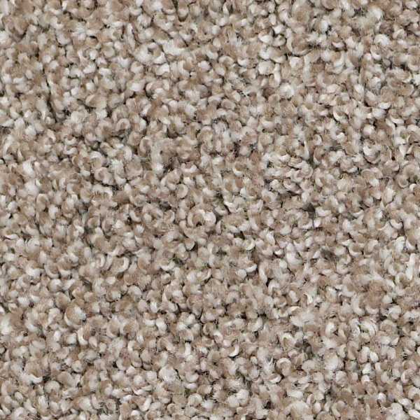 Shaw Floors Go For It Sandstone SHAW