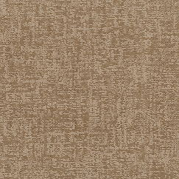 Tuftex Fine Structure Natural Beauty SHAW