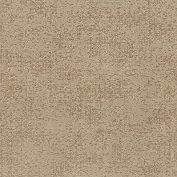 Tuftex Artistic Presence Natural Beauty SHAW